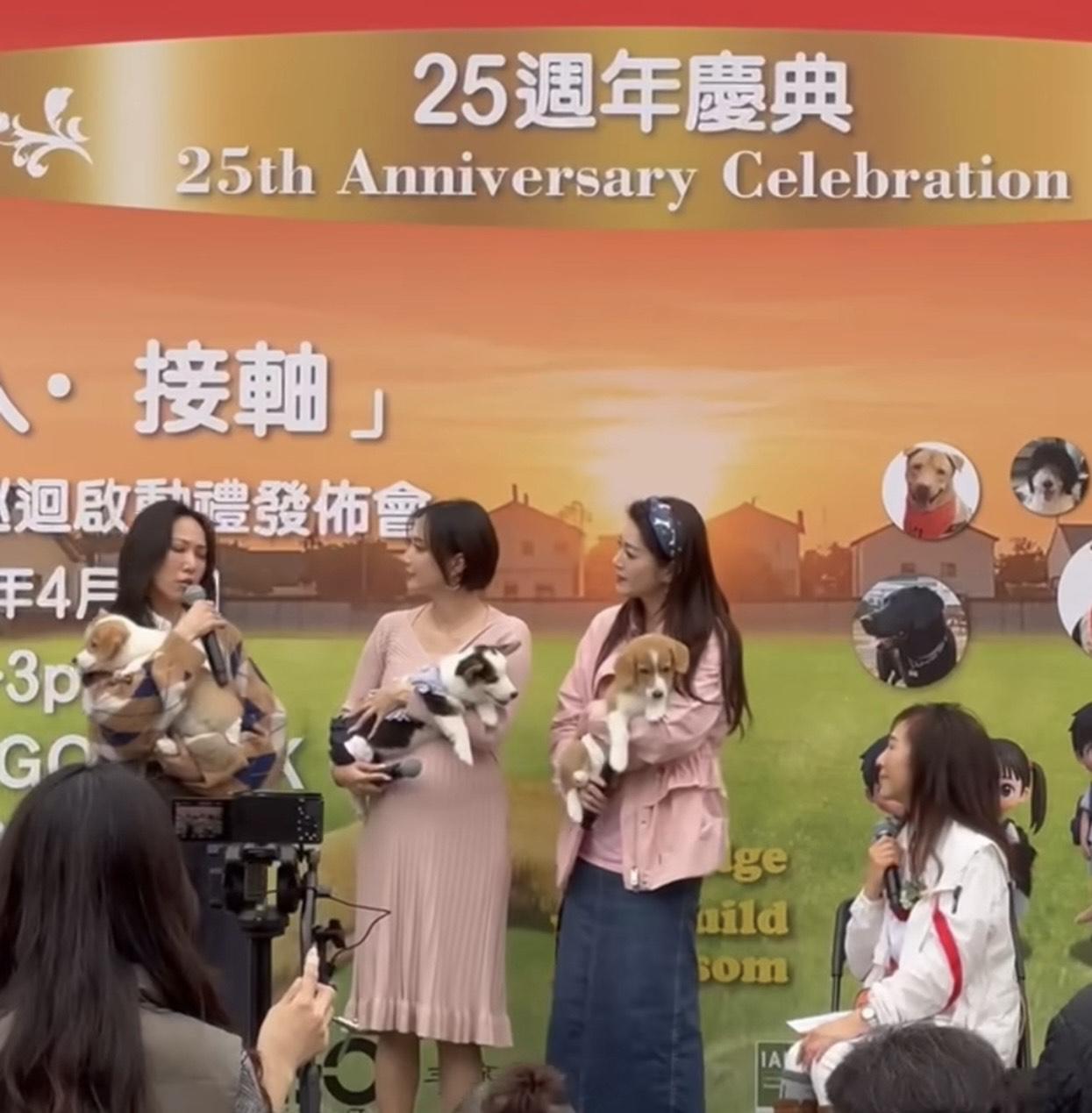 苟芸慧昨日(4日)帶埋3隻愛犬到西沙出席活動。