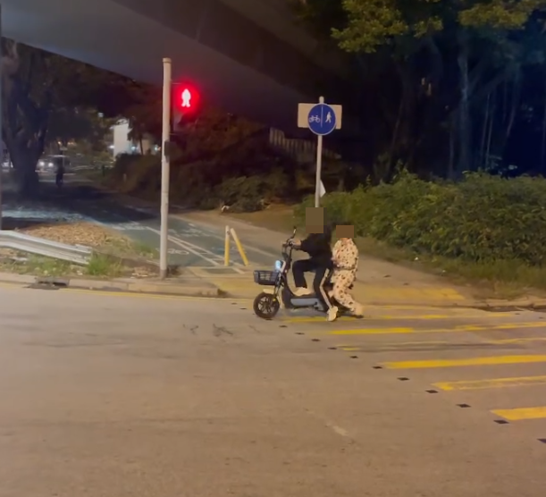 屯門有少女騎電動單車載另一名穿睡衣少女,晚上在馬路上逆線行走,險撞迎頭而來的汽車,一名鐵騎士大叫勸止:「返入去,返入去啊!」但兩女仍停留在馬路上「任我行」,最後橫越多條行車線絶塵而去。(Threads影片)