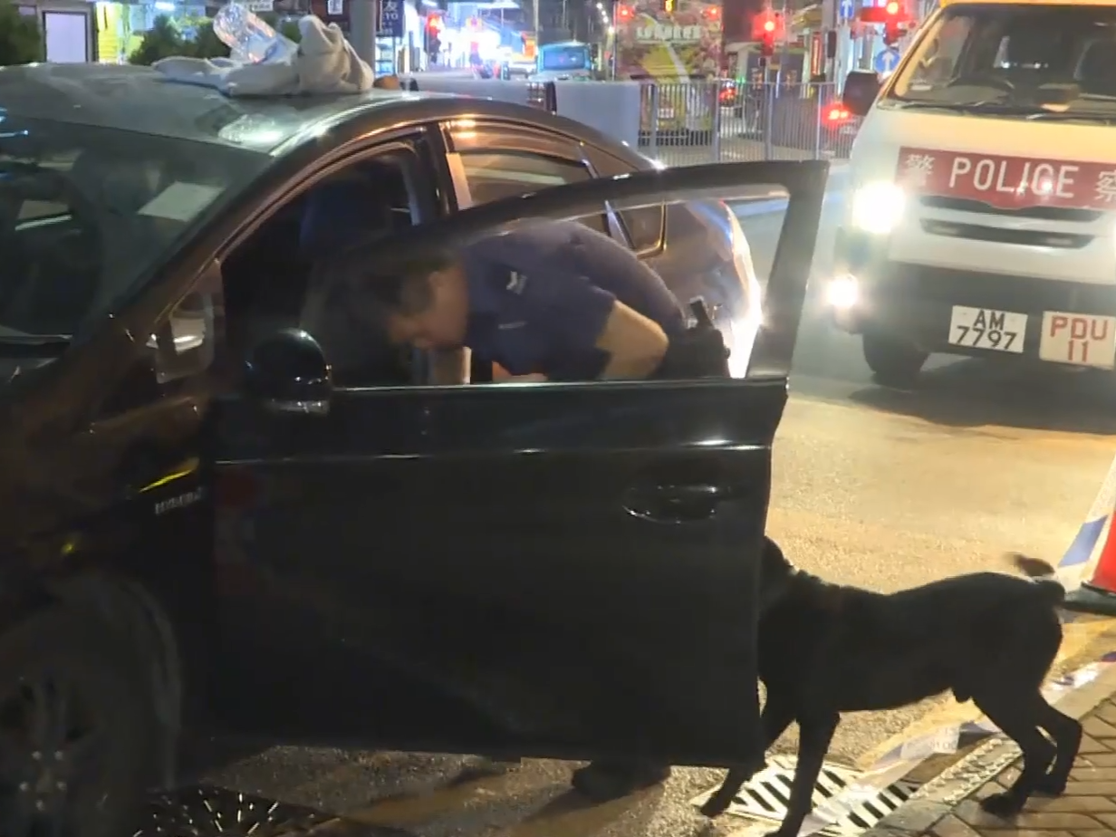 緝毒犬到場協助搜車。(有線新聞截圖)
