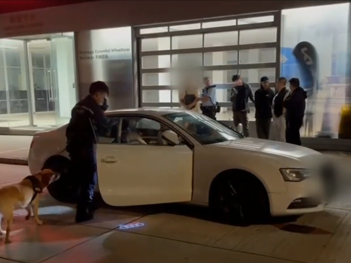 緝毒犬到場協助搜車。(有線新聞截圖)