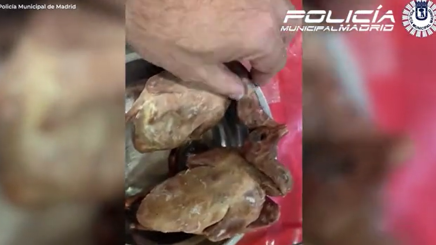 西班牙一間中餐館捉野鴿當作烤鴨,警方突擊搜查發現衛生惡劣。(互聯網)