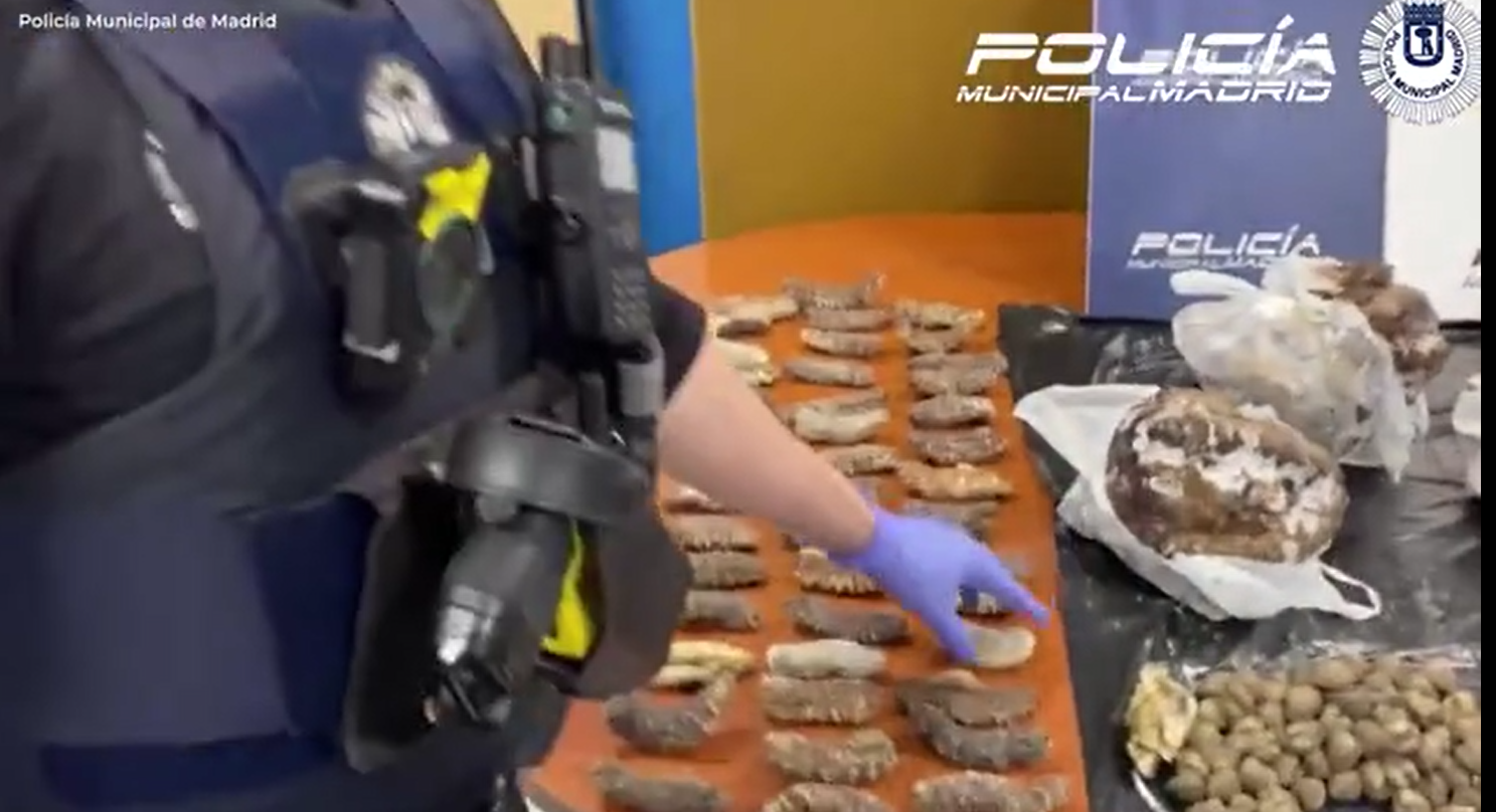 西班牙一間中餐館捉野鴿當作烤鴨,警方突擊搜查發現衛生惡劣。(互聯網)