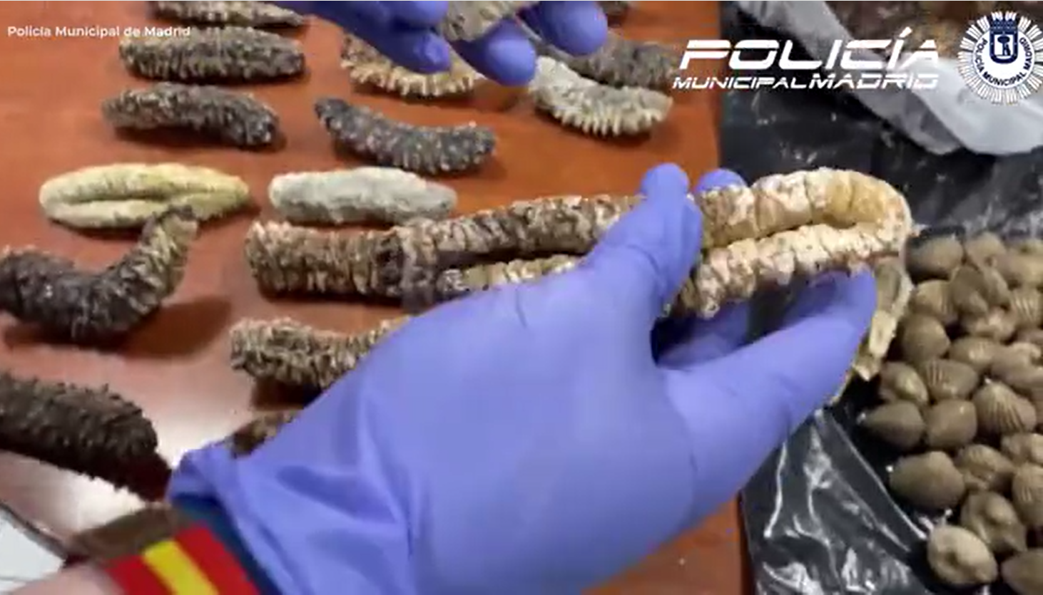 西班牙一間中餐館捉野鴿當作烤鴨,警方突擊搜查發現衛生惡劣。(互聯網)