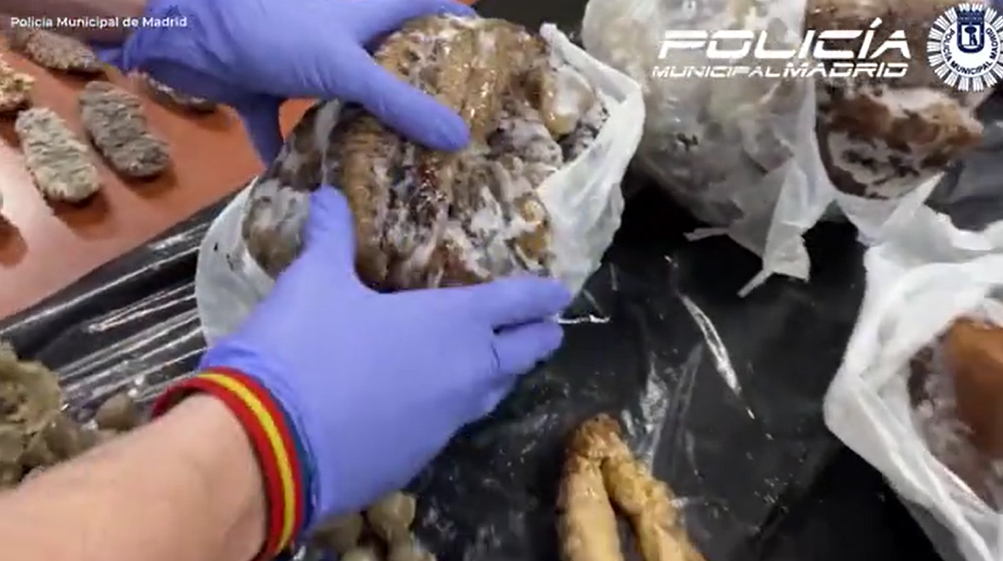 西班牙一間中餐館捉野鴿當作烤鴨