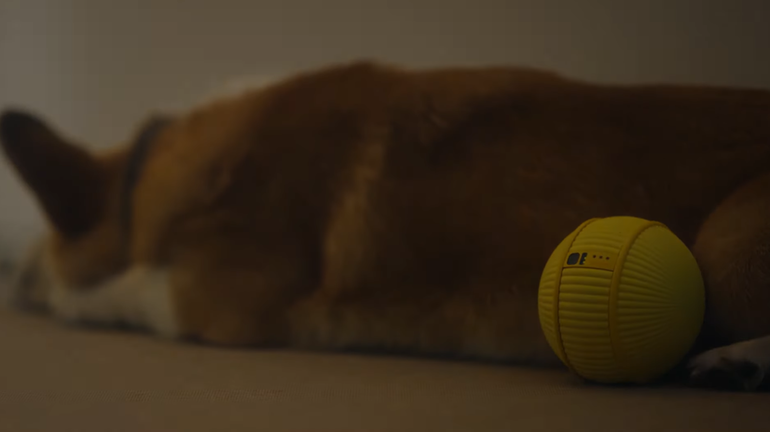 Ballie 球型身體安裝了相機作視覺感測、環境感應器及行動模組,配合 Samsung 語言模型進行會話及理解不同語音輸入,以達至類似「多啦A夢」家居 AI 夥伴工作。