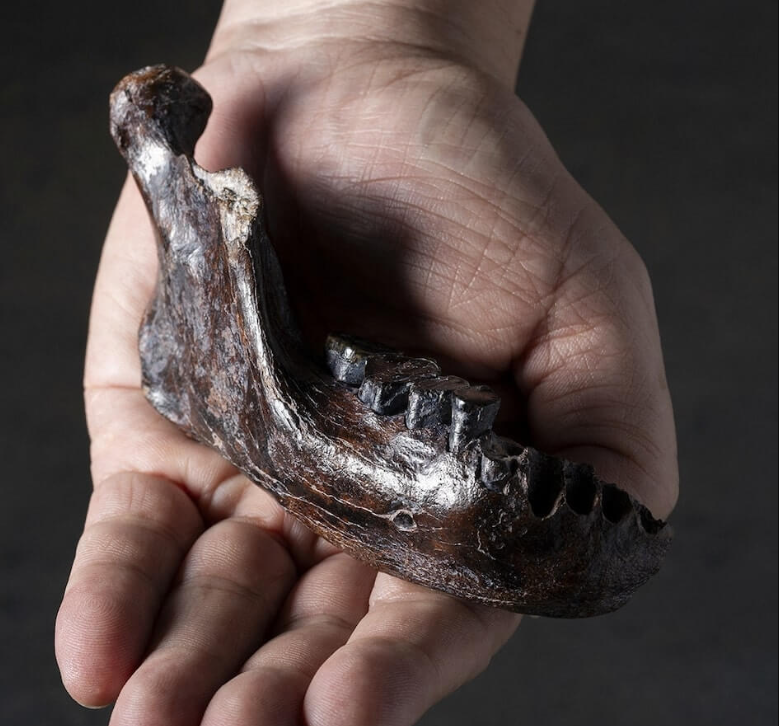 台灣最古老人類化石「澎湖原人」身分解密