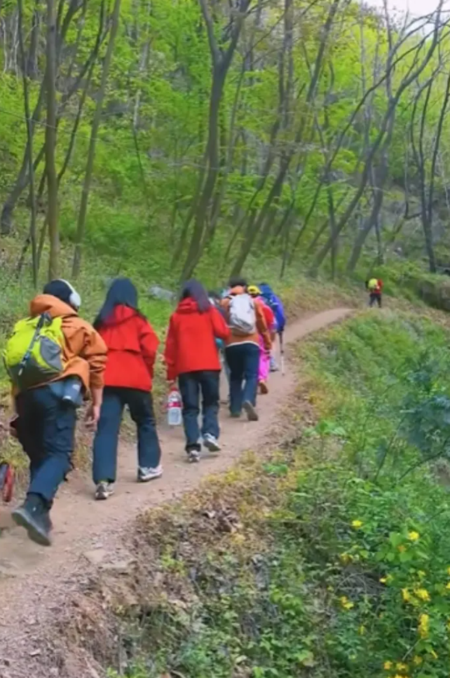 陝西西安有一處以紫荊花盛開聞名的地方叫西寺溝,近日西寺溝有峪口解封時,有人發現管理單位掛出一個大型警告牌,指出該景點過去兩年便有總共9人在當地遊玩或進行穿越活動時失蹤,提醒登山者切勿走小路擅自穿越,免生危險。(影片截圖)