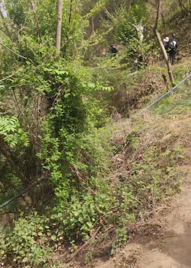 陝西西安有一處以紫荊花盛開聞名的地方叫西寺溝,近日西寺溝有峪口解封時,有人發現管理單位掛出一個大型警告牌,指出該景點過去兩年便有總共9人在當地遊玩或進行穿越活動時失蹤,提醒登山者切勿走小路擅自穿越,免生危險。(影片截圖)