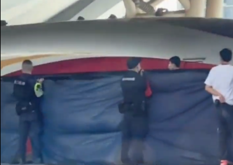 廣東省東莞市虎門高鐵站周三(16日)發生跳軌事故,一名32歲男子遭一列進站列車撞死,相關部門已對事件開展調查。(影片截圖)