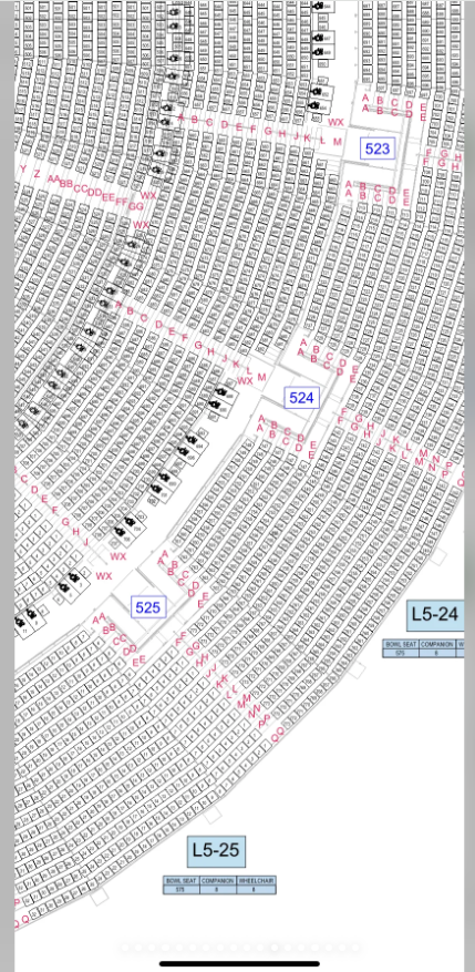 小紅書流出啟德主場館5樓的座位表。