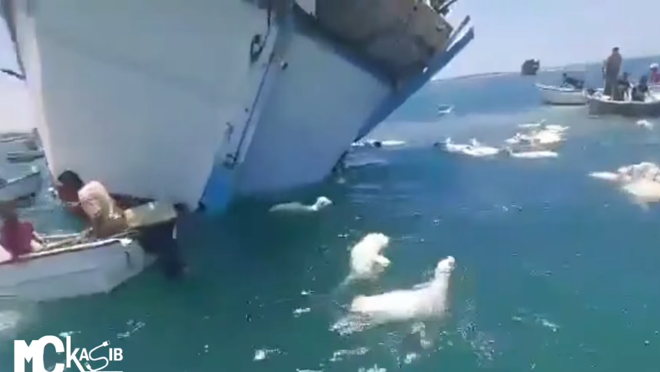 也門南部港口城市亞丁外海一艘由非洲索馬里出發運送逾2000羊隻的貨船擱淺傾覆,片段可見大批羊隻於海面掙扎,有羊隻發出叫聲,多隻漁船上的漁民奮力將羊隻救回船上。