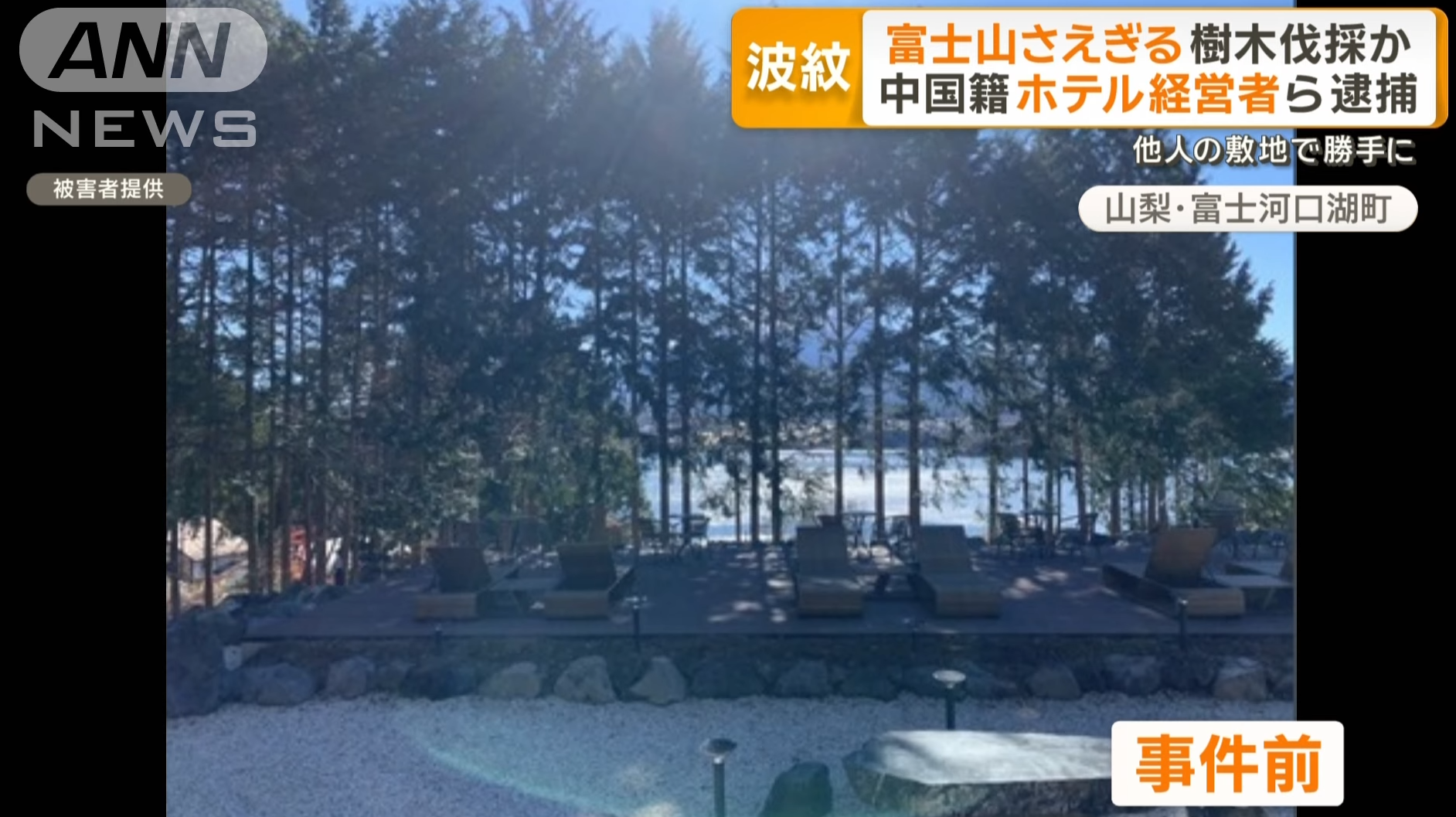 旅館在斬樹前的景觀。(新聞截圖)