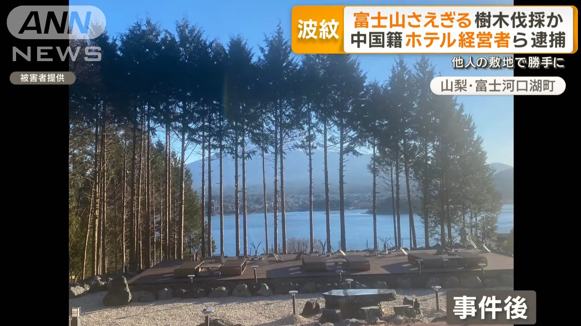 旅館在斬樹後的景觀。(新聞截圖)