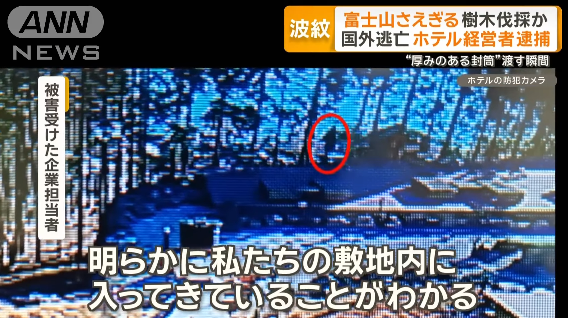 影片拍到斬樹的情況。(新聞截圖)