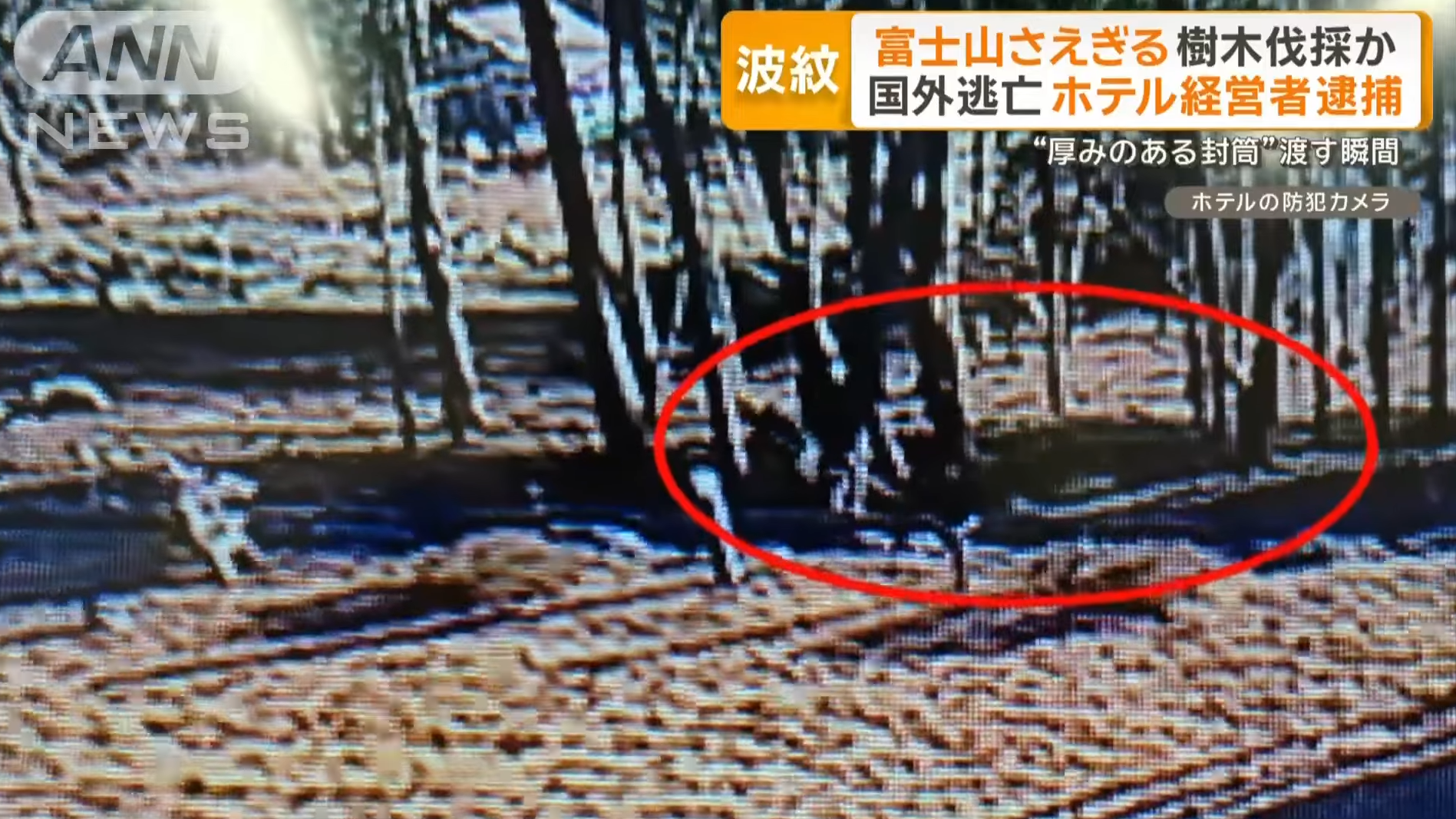 影片拍到斬樹的情況。(新聞截圖)