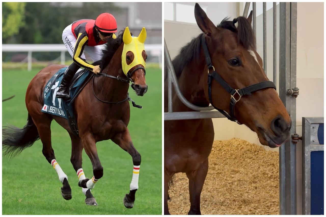 川田將雅在社交平台Instagram(IG)上載拍檔生前上場相片,以及在馬房內影片。(IG)