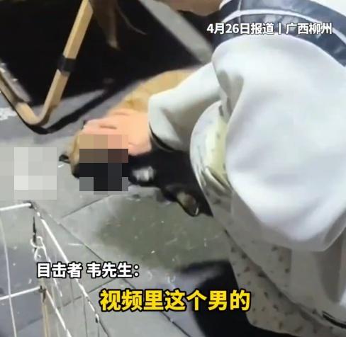 一名女子不忍上前阻止惟不果,小狗就被男子撿起再摔一次,當場慘死。(微博)