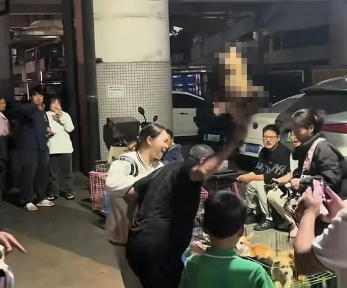 一名女子不忍上前阻止惟不果,小狗就被男子撿起再摔一次,當場慘死。(微博)