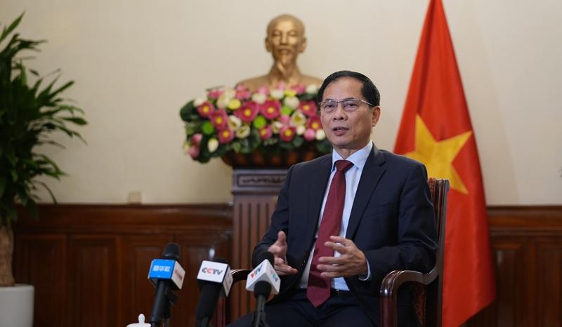 越南副總理兼外長裴青山。(資料圖片)