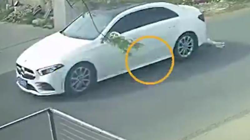 寵物狗在路上慘被車撞,受傷倒地。(微博)