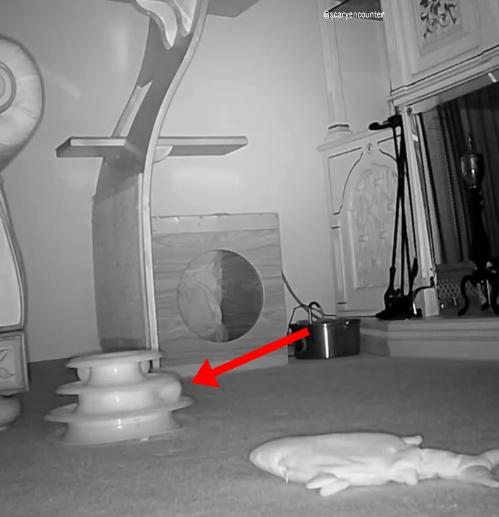 房內空無一人,擺在地上的電動魚玩具竟自行震動,旁邊的玩具的球也如被撥動了一下。(IG)