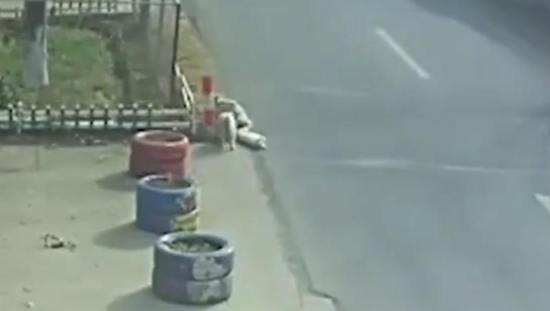 流浪狗把受傷的狗狗拖回路邊,還不斷吠叫吸引人關注來救受傷的狗狗。(微博)