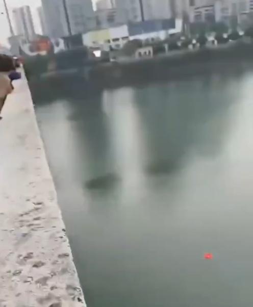 熊先生的友人說,那條橋得高,他都60歲了,命都不要,去救一個年輕的生命。(微博)