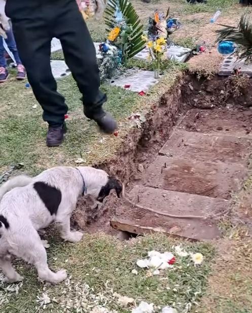 Jacinto的表妹Natalia表示:「Crispín一直在他(Jacinto)身邊陪著,一直到他離世那天。」(FB)