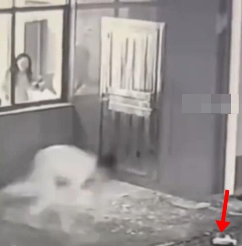 男子迅速起身,顧不上撿起掉落的鞋子,朝著遠處狂奔而去。(微博)