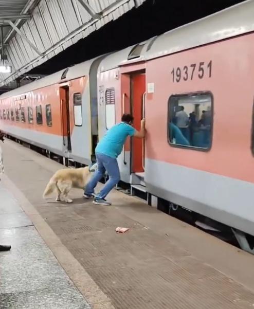 飼主一手抓住列車外的手把,同時想用牽繩將狗拉上車。(X)