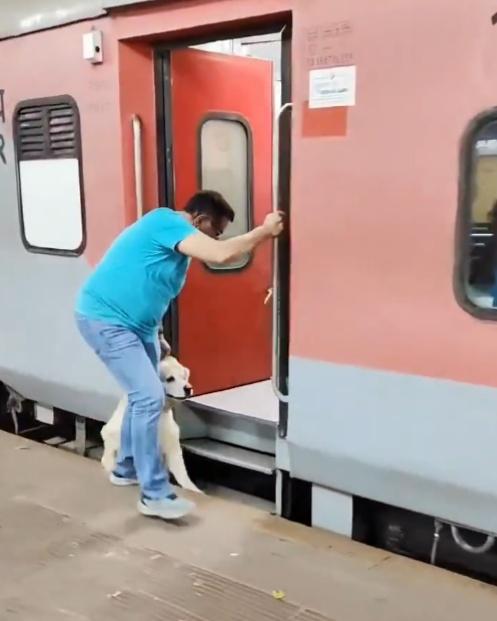 然而狗狗感到害怕而卻步,詎料飼主無視狗狗狀況,繼續將牠拖行。(X)