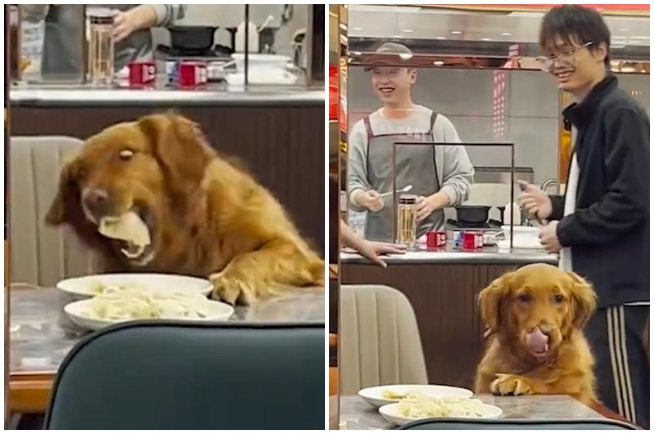 目睹的店員和食客也不禁笑了。(微博)