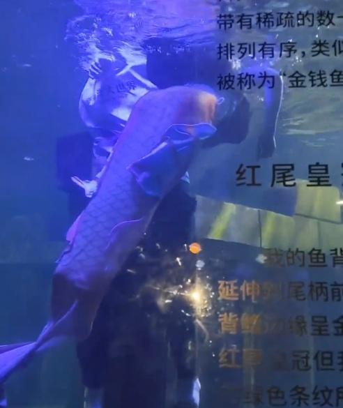 約20秒後,一名工作人員跳入水中將她救出。(微博)