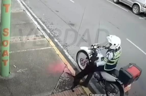 當Toby看見Sandra就像是看到熟識的人一樣主動上前打招呼。(YouTube)