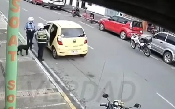 原來Sandra決定收編托比給Toby一個永遠的家,請司機將牠送到自己的家中。(YouTube)