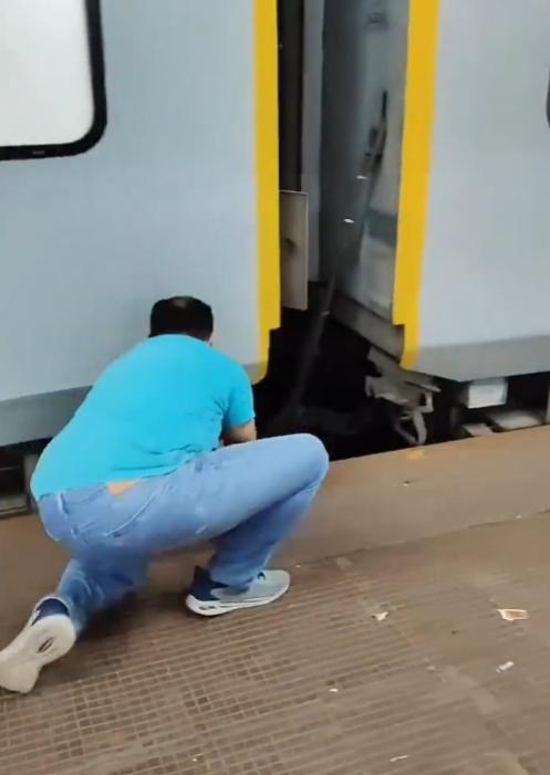 飼主想要伸手去救,卻眼巴巴看著狗狗墮進路軌,欲救無從。(X)