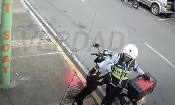 Sandra亦沒有無視牠,相反多次去望牠摸牠作回應。(YouTube)