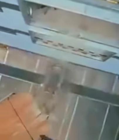 叉車衝力極大,幾乎變形,叉車工人被證實當場死亡。(FB)