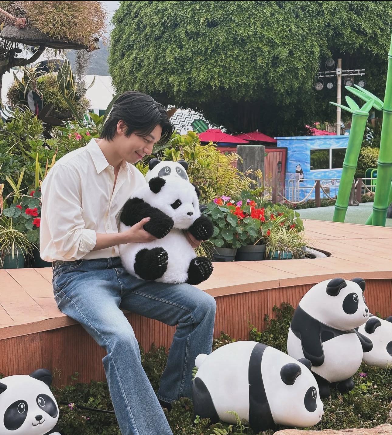 魏河俊獲旅發局安排,到海洋公園睇熊貓。