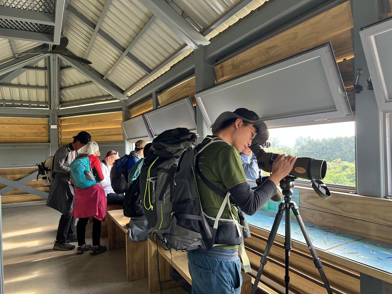 黑臉琵鷺全球同步普查2025 (© 香港觀鳥會)