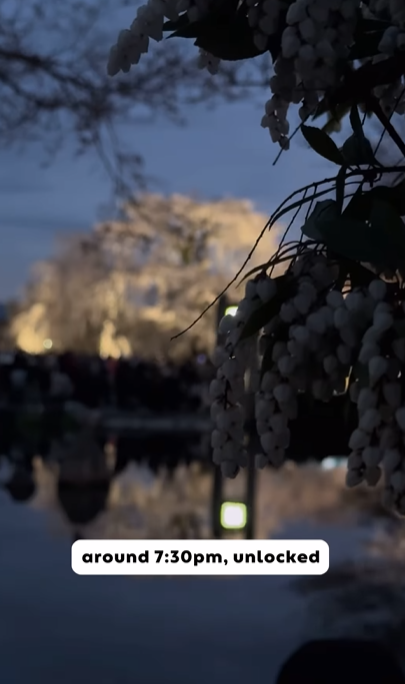 一名烏克蘭女子分享入住東京酒店的恐怖經歷,在外面觀光完返回房間於床底發現一名陌生男子。(互聯網)