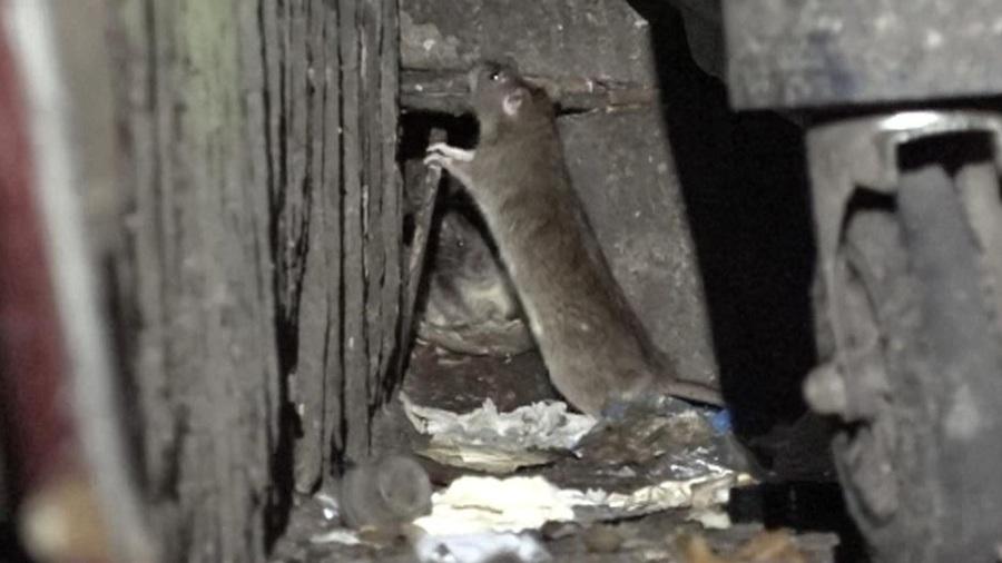 英國伯明翰垃圾車工人罷工