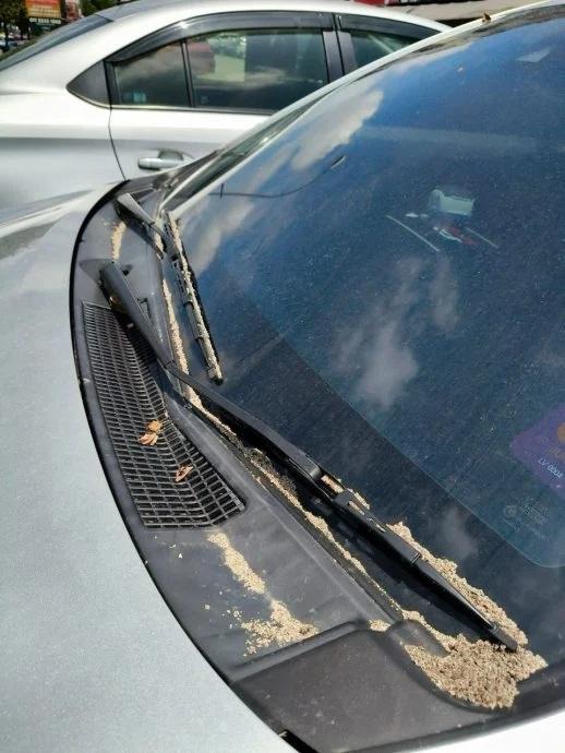 馬來西亞天然氣管爆炸