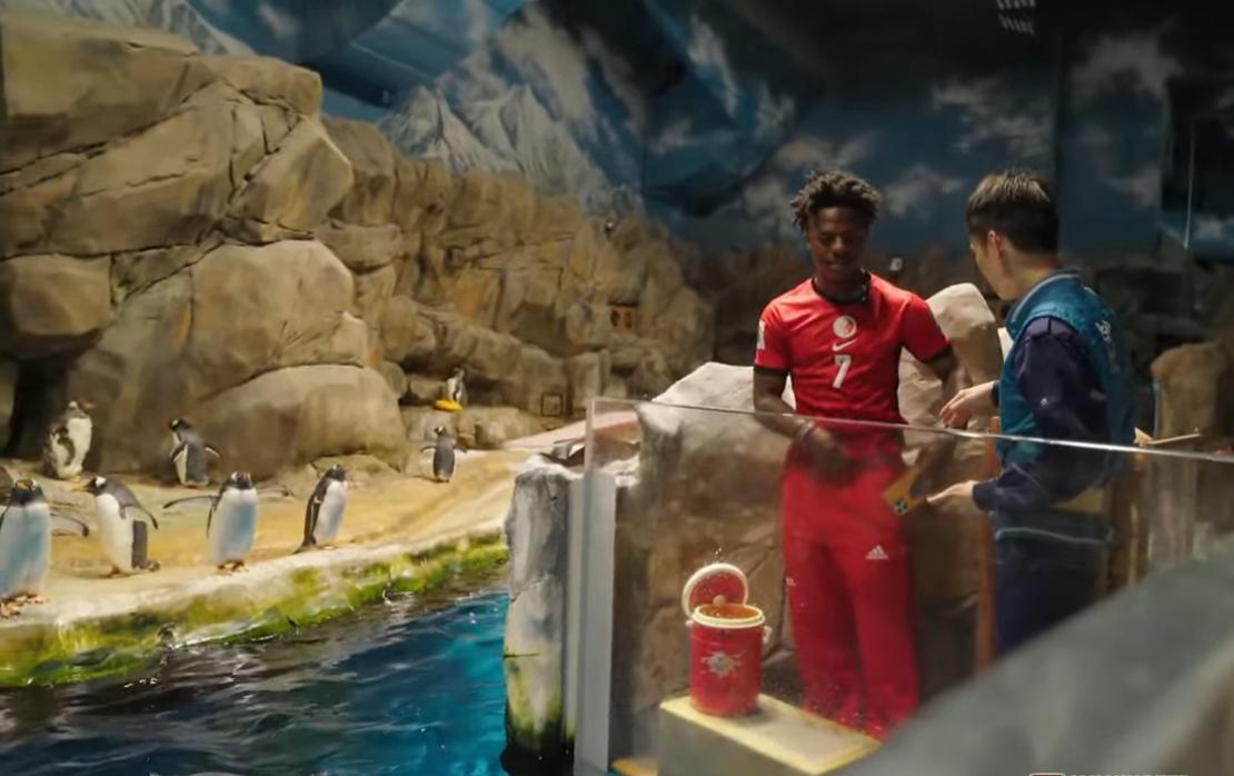 IShowSpeed一嘗餵企鵝滋味。