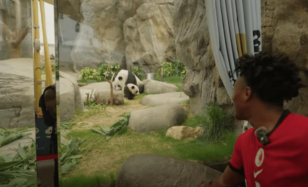 IShowSpeed去海洋公園睇熊貓。