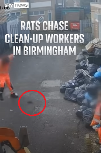 英國伯明翰垃圾車工人罷工