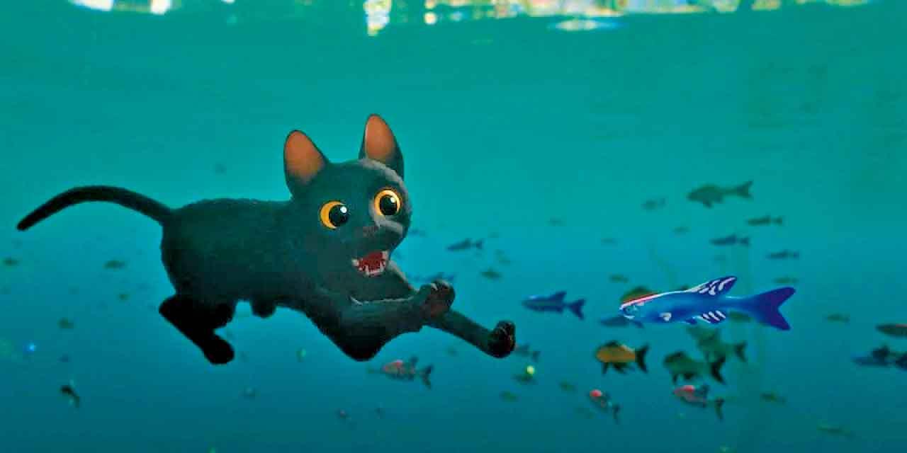 《貓貓的奇幻漂流》