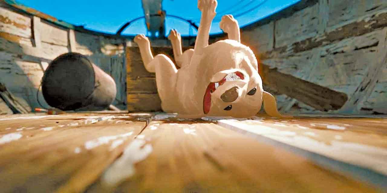 《貓貓的奇幻漂流》