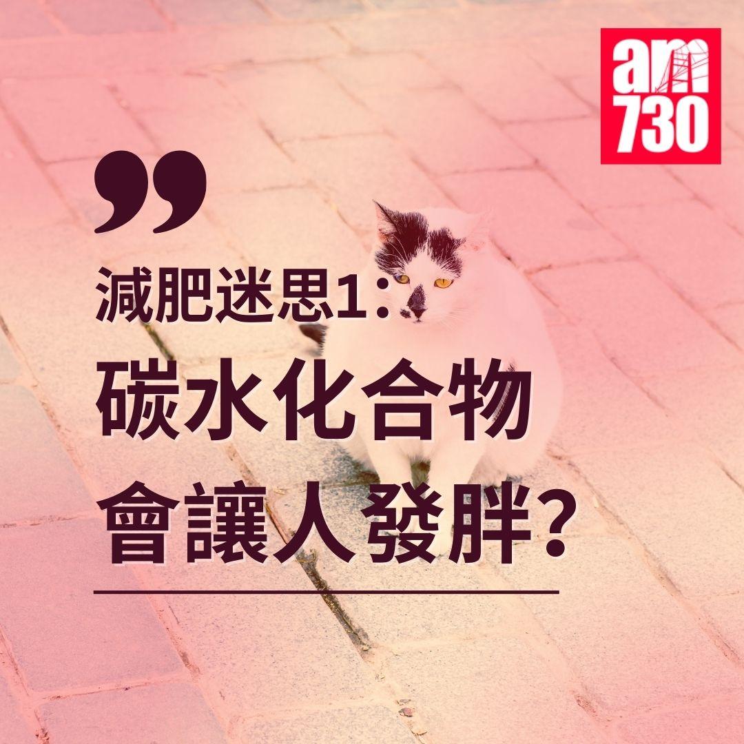 減肥|點解瘦唔到? 營養師破解8個健康迷思