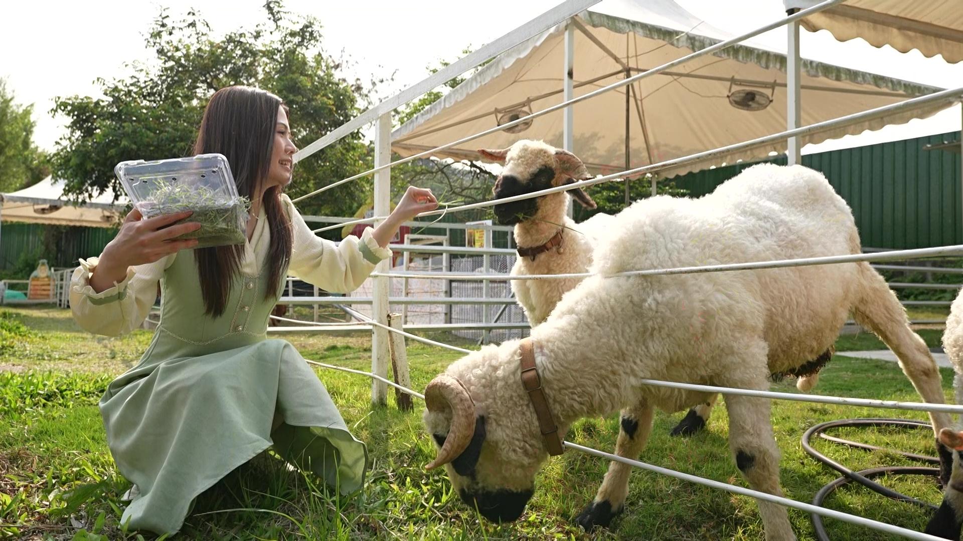善玥澄個人介紹片。
